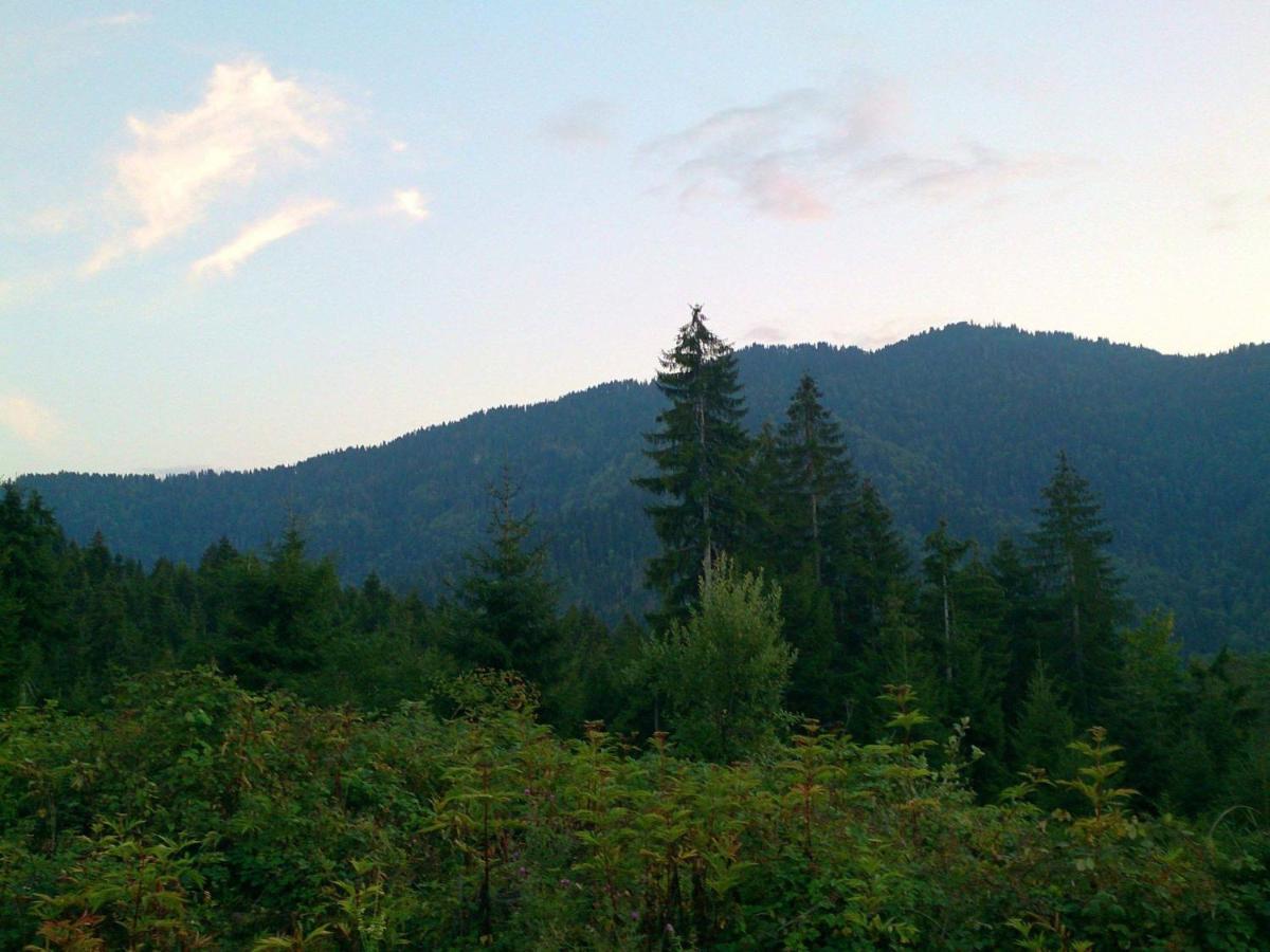 Mountain Resort Gantiadi Borjomi Exterior foto