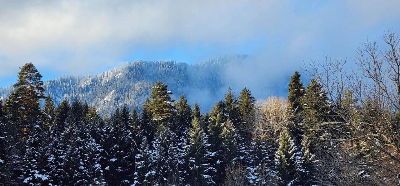 Mountain Resort Gantiadi Borjomi Exterior foto